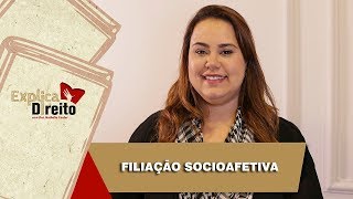 Explica Direito Filiação Socioafetiva  2019 [upl. by Doralia689]