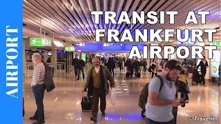 TRANSIT WALK AT FRANKFURT Airport FRA Terminal 1  Connection Flight Transfer Arriving amp Departing [upl. by Araldo]